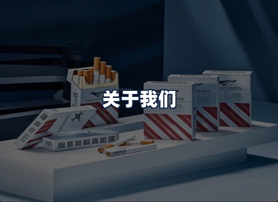 关于我们